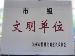 喜訊！公司榮獲“市級文明單位”稱號